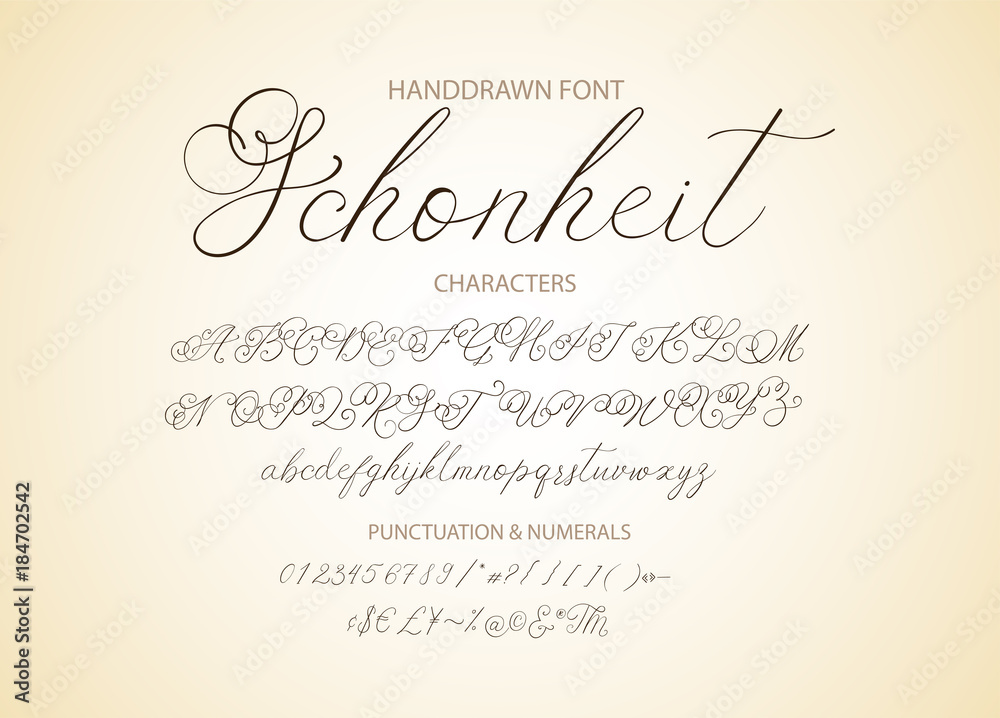 Modern calligraphic font. Brush painted letters.
