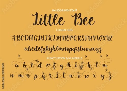 Modern calligraphic font. Brush painted letters.