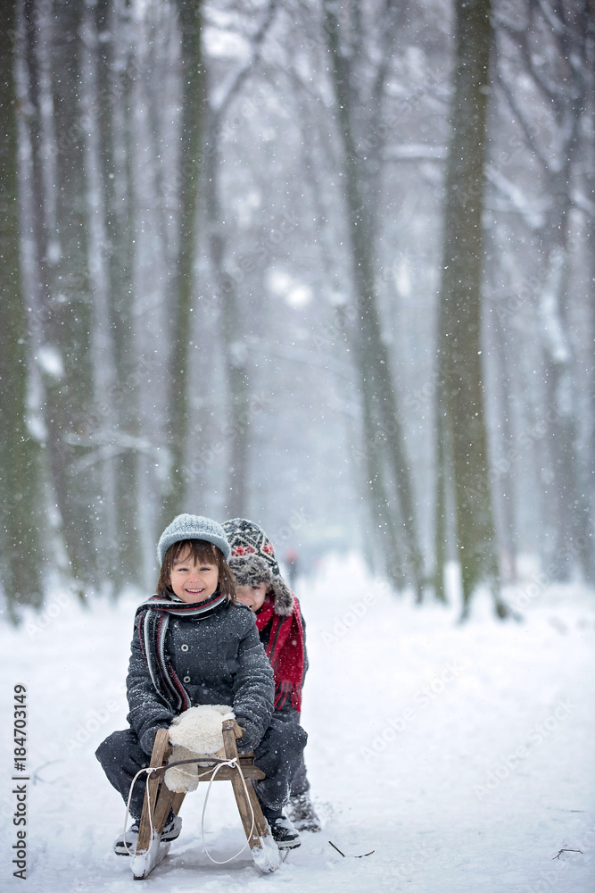 Happy children in a winter park, playing together with a sledge while snowing Happy children in a winter park, playing together with a sledge while snowing