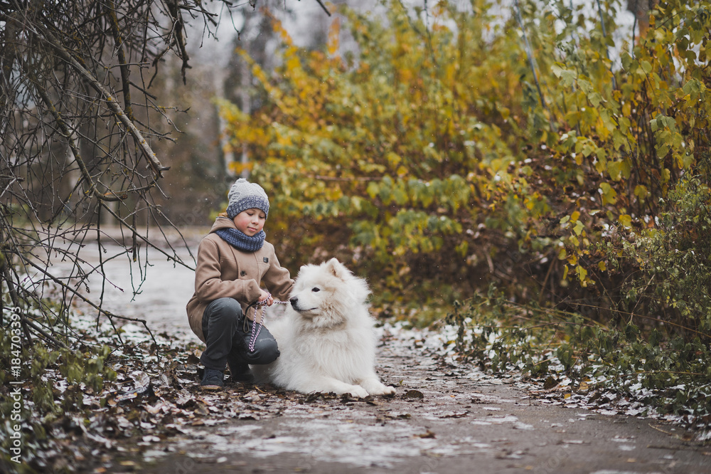 Samoyed for walks stand with the little master 9825. Samoyed for walks stand with the little master 9825.