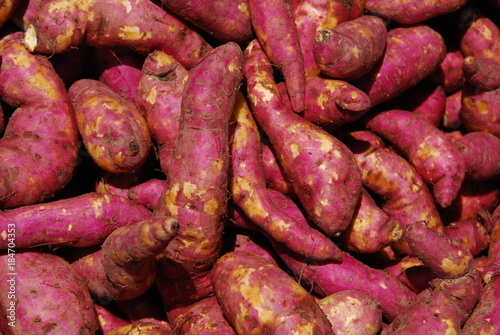 Kumara (variété de patate douce)
