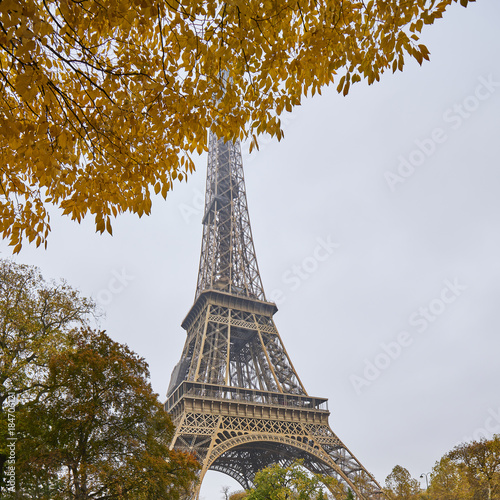 Arbre en automne dans le champs de mars avec tour eiffel, Paris © LR Photographies