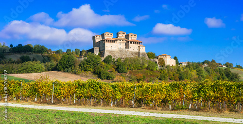 Castles and vineyards of Italy - medieval Castello di Torrechiara, Parma province photo