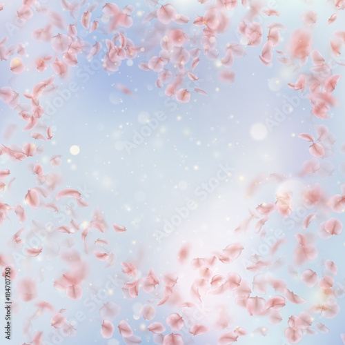 Sakura flying downwind petals on wind. EPS 10 vector