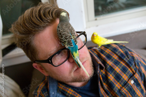 Caucasian Middle Aged Man Sits In His Living Room As Two Colorful Parakeets Perch On His Reading Glasses At Night