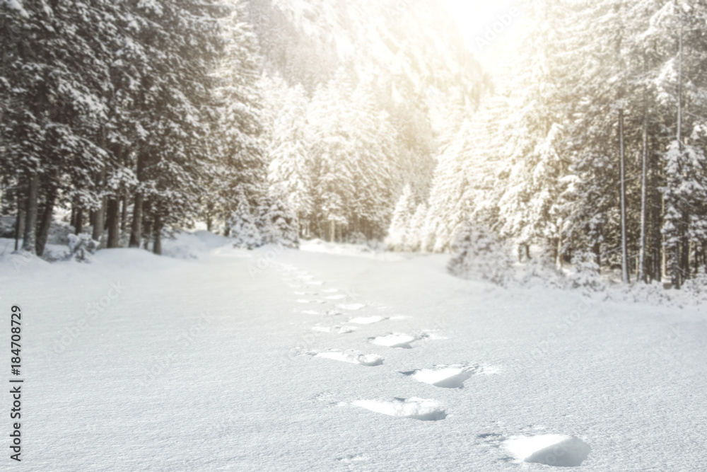 Fototapeta premium Winter road 