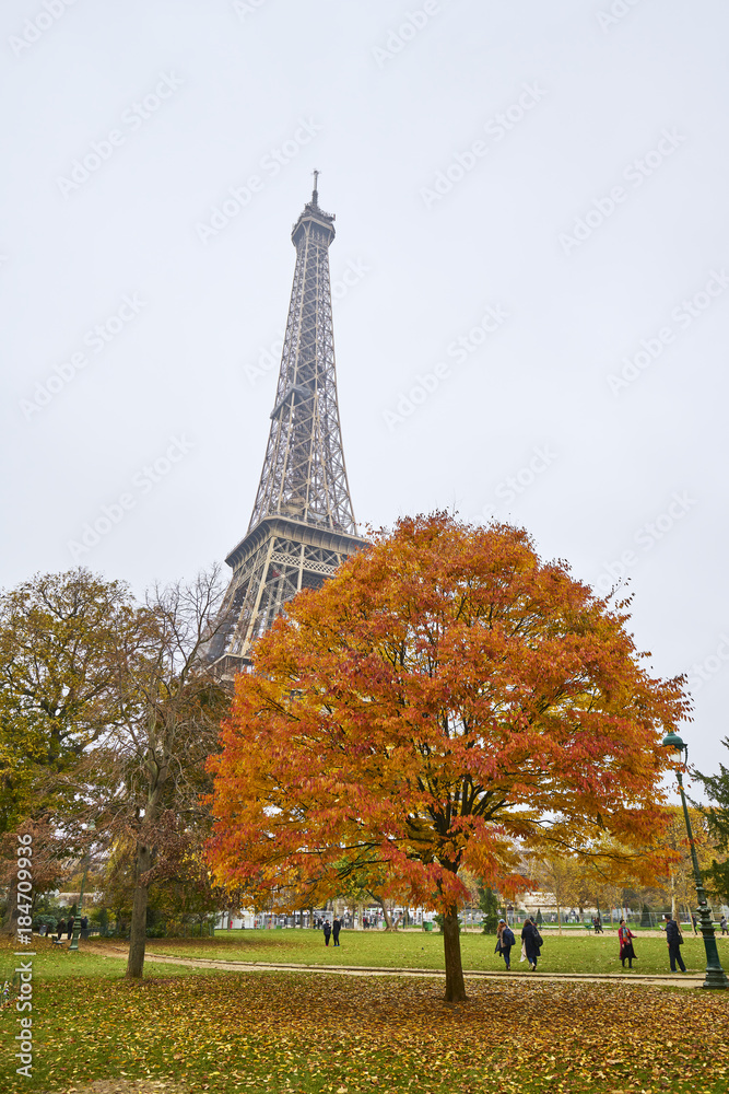 Automne au pied de la Tour Eiffel