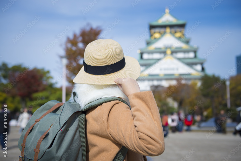 Tourist is sightseeing at Osaka castle in Japan.