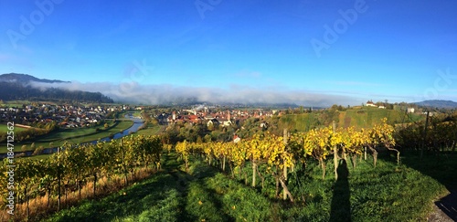 Panorama von Gengenbach photo