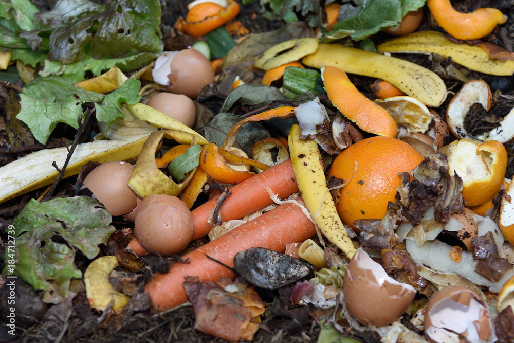 inside of a composting container inside of a composting container