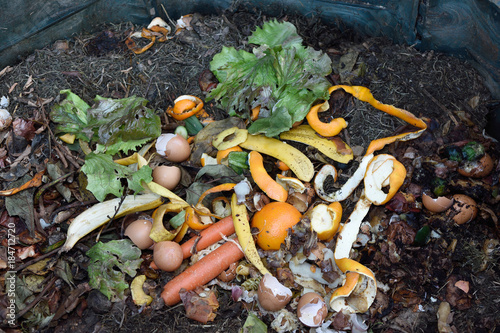 inside of a composting container