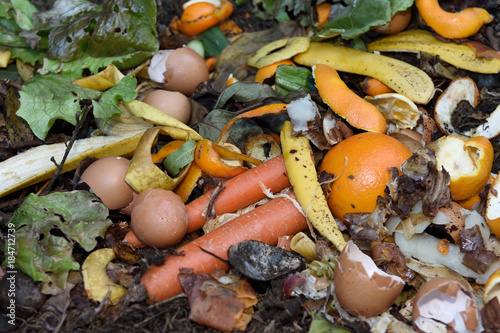 Obraz na płótnie inside of a composting container