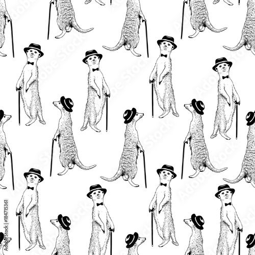 Seamless pattern - gentleman meerkat. Vector