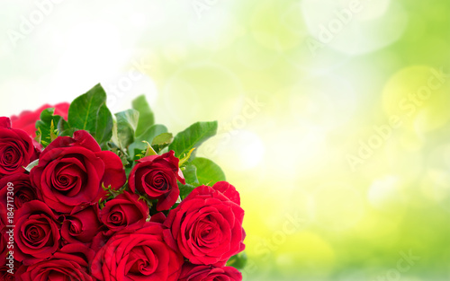 Bouquet of dark red rose buds with green leaves close up on green bokeh background