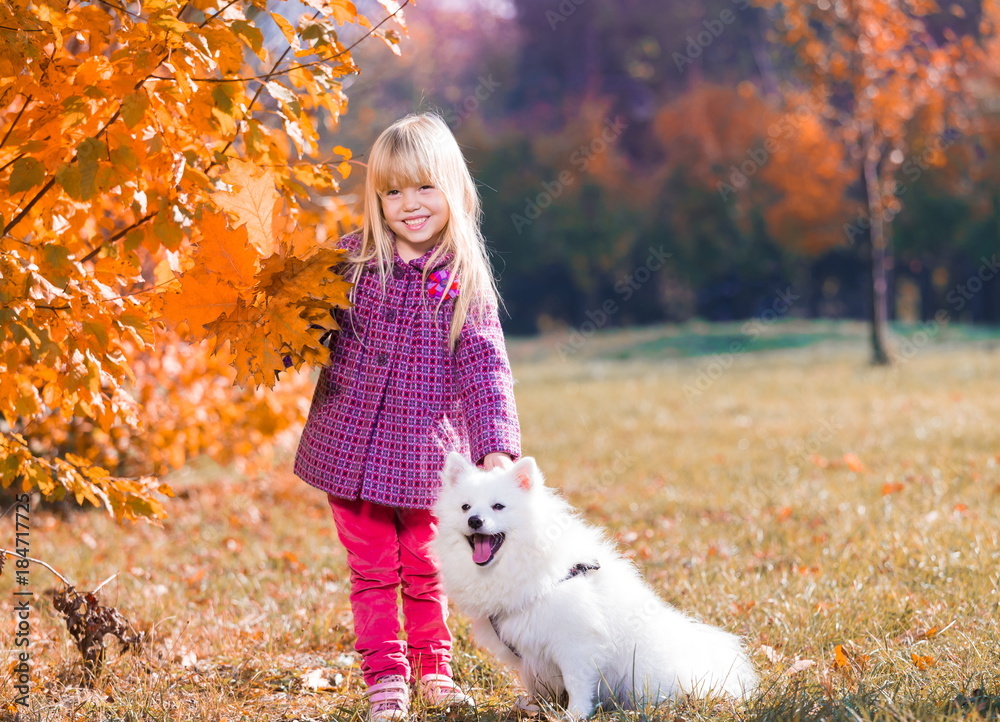 Girl, dog, fun, forest Girl, dog, fun, forest