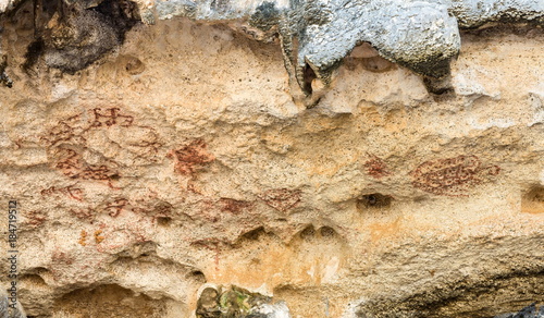 Petroglyph in Bonaire, netherlands antilles photo