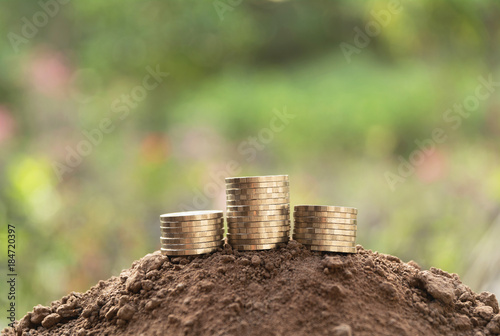 Saving money concept with money coin stack growing for business and accounting concept.