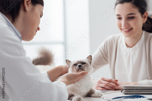 Fototapeta Naklejka Na Ścianę i Meble -  Veterinarian visiting a pet