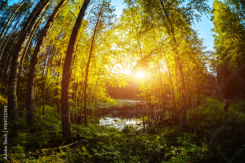 Naklejka premium Small lake surrounded by forest with tourist