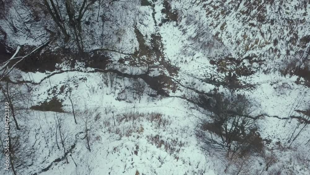 aerial shot of the winter forest above the trees aerial shot of the winter forest above the trees