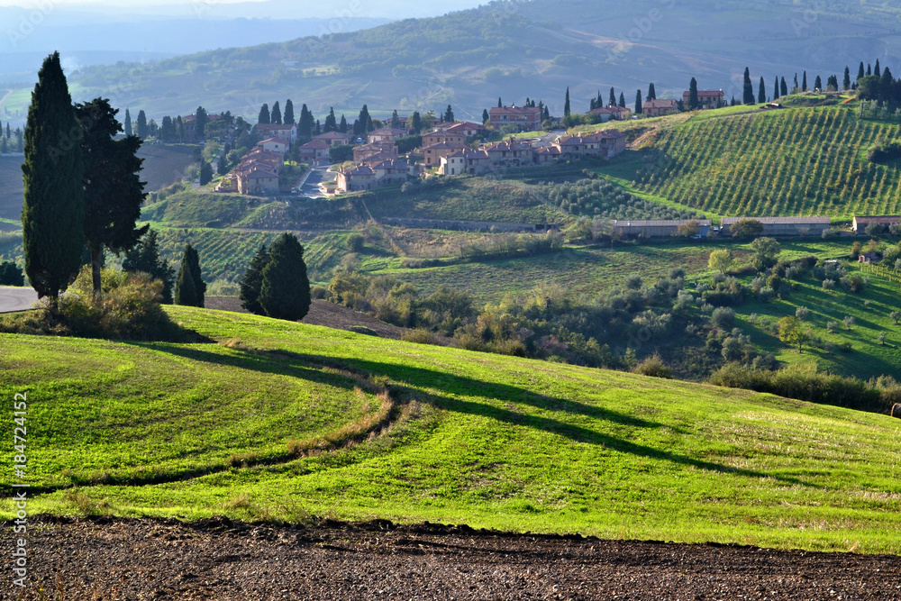 Fototapeta premium Tuscan landscape, Italy