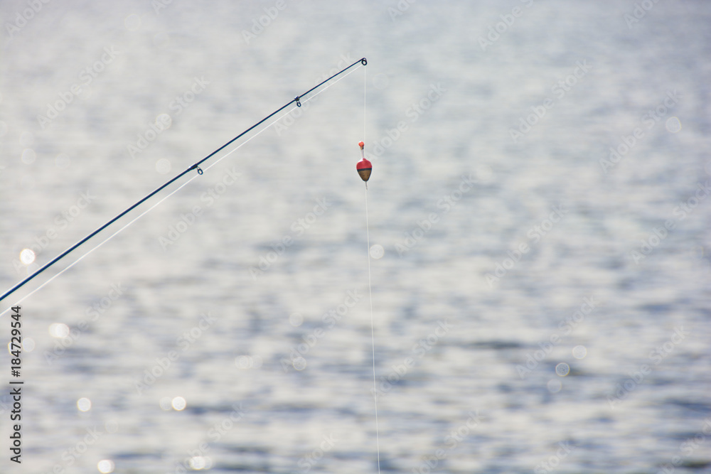 float with fishing rod float with fishing rod