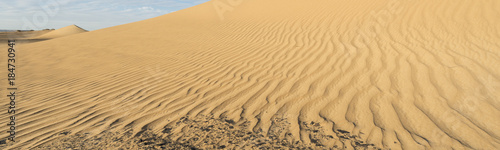 By wind shaped dunes in the White desert