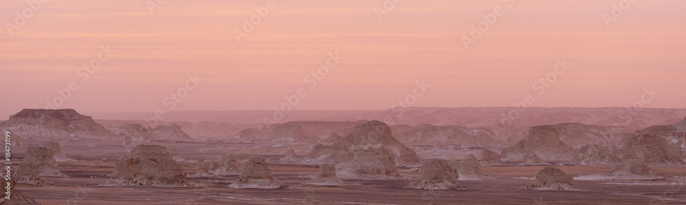 Landscape after a pink sunset in the Western white desert