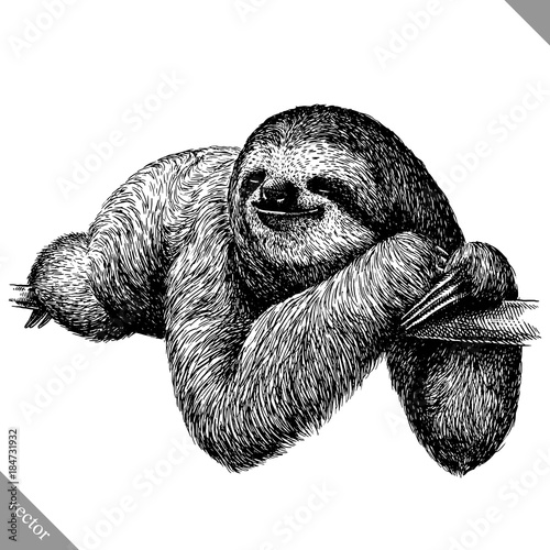 black and white engrave isolated sloth vector illustration