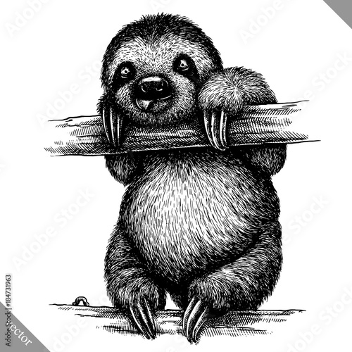 black and white engrave isolated sloth vector illustration
