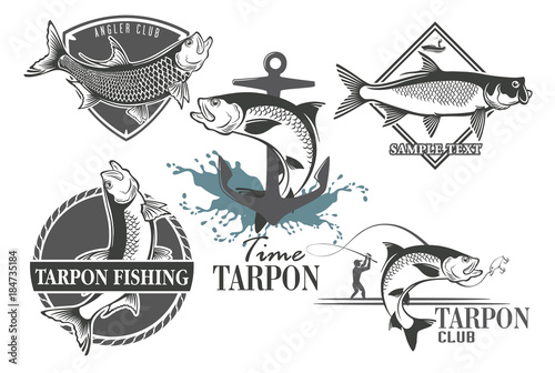  fish tarpon