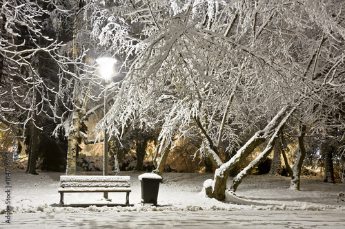 A snow-covered city park at night. Winter.
City at night.