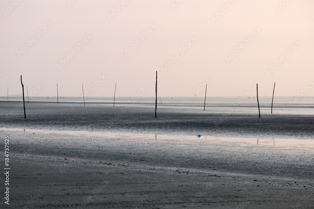 Sticks buried in an empty barren beach at low tide in South Vietnam Can Gio area.
