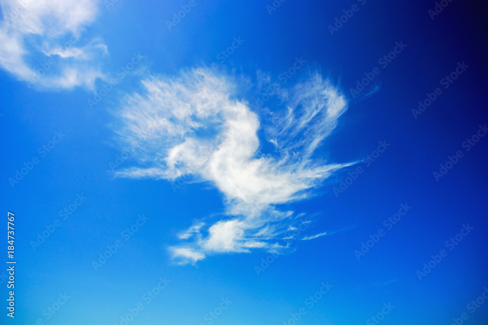 Clouds in the shape of a bird on a Sunny sky. Clouds in the shape of a bird on a Sunny sky.
