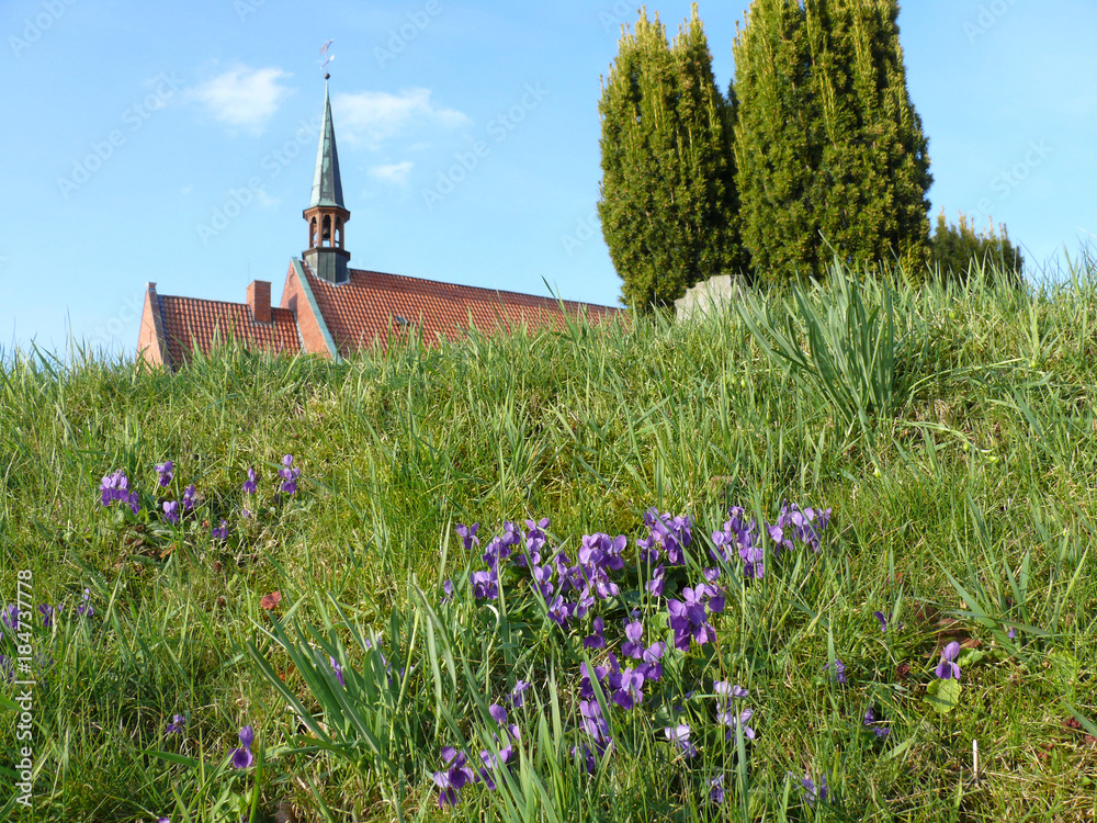 Frühling auf der Kirchwarft in Rodenkirchen (Wesermarsch)