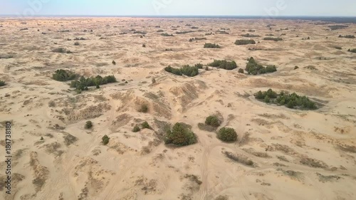 Aerial survey of the desert with some sparse vegetation (4K, 25fps)