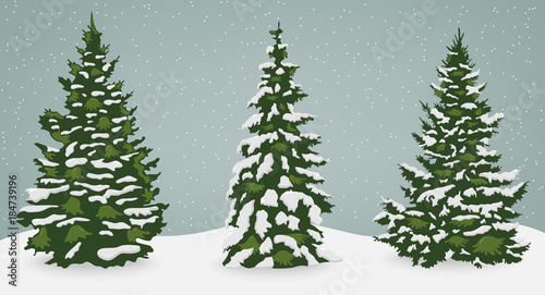 Snow trees set on isolated background. Christmas tree. Vector