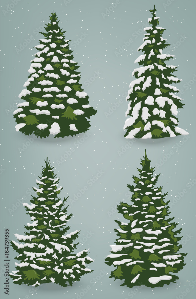 Fototapeta premium Snow trees set on isolated background. Christmas tree. Vector