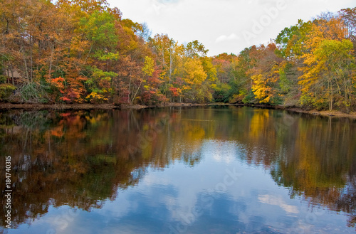 Lake and Trees in Autumn
