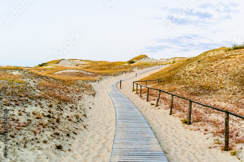 Pathway to gray dunes in Curonian Spit  Lithuania