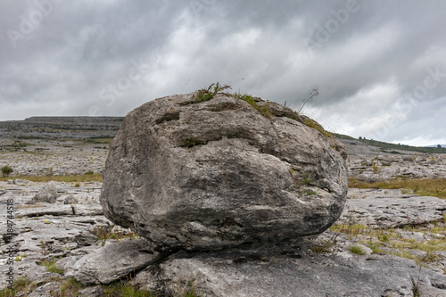 Big rock in the Burren National Park © Thomas Schnitzler