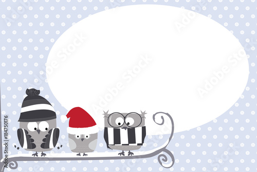 sowy  na gałęzi / śnieg / Boże Narodzenie