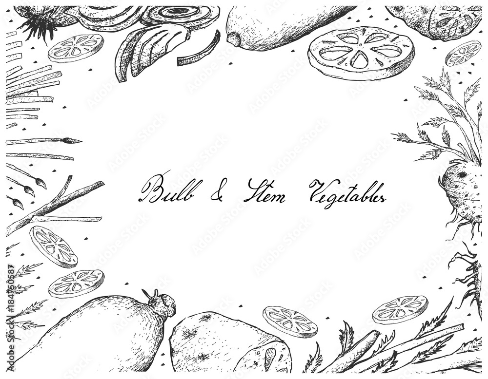 Bulb and Stem Vegetables Frame on White Background Bulb and Stem Vegetables Frame on White Background