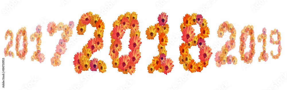 Numeral 2018 from flowers, isolated on white background Numeral 2018 from flowers, isolated on white background