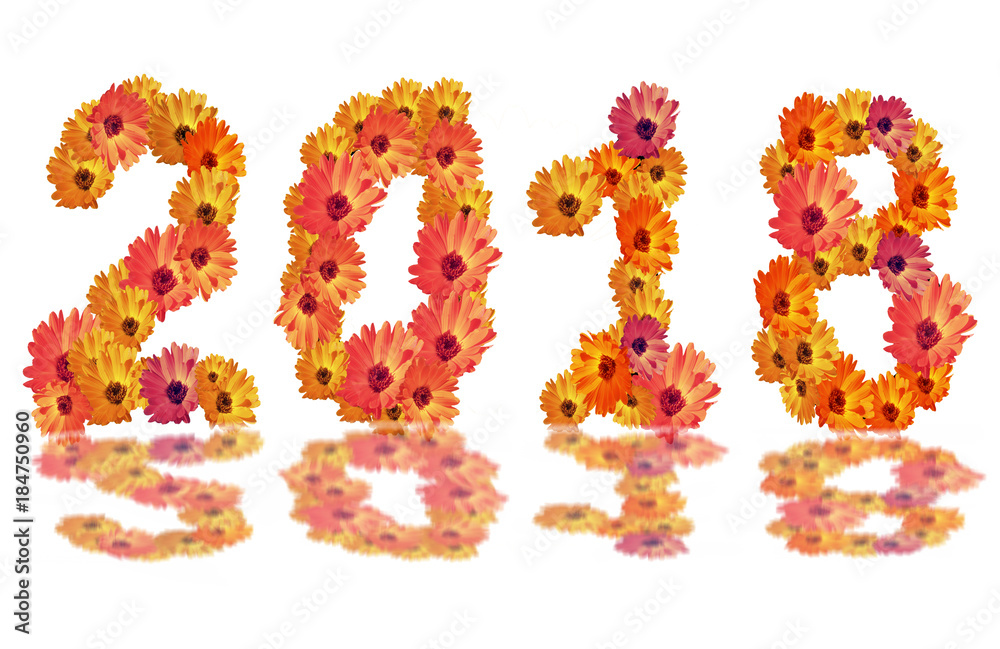 Numeral 2018 from flowers, isolated on white background Numeral 2018 from flowers, isolated on white background