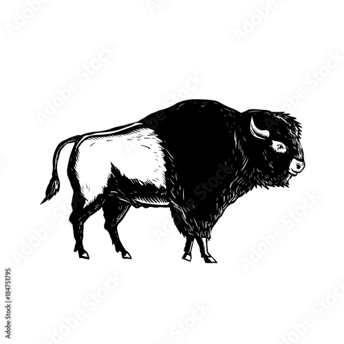 American Buffalo Side Woodcut Black and White