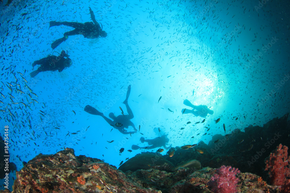 Scuba divers exploring coral reef Scuba divers exploring coral reef