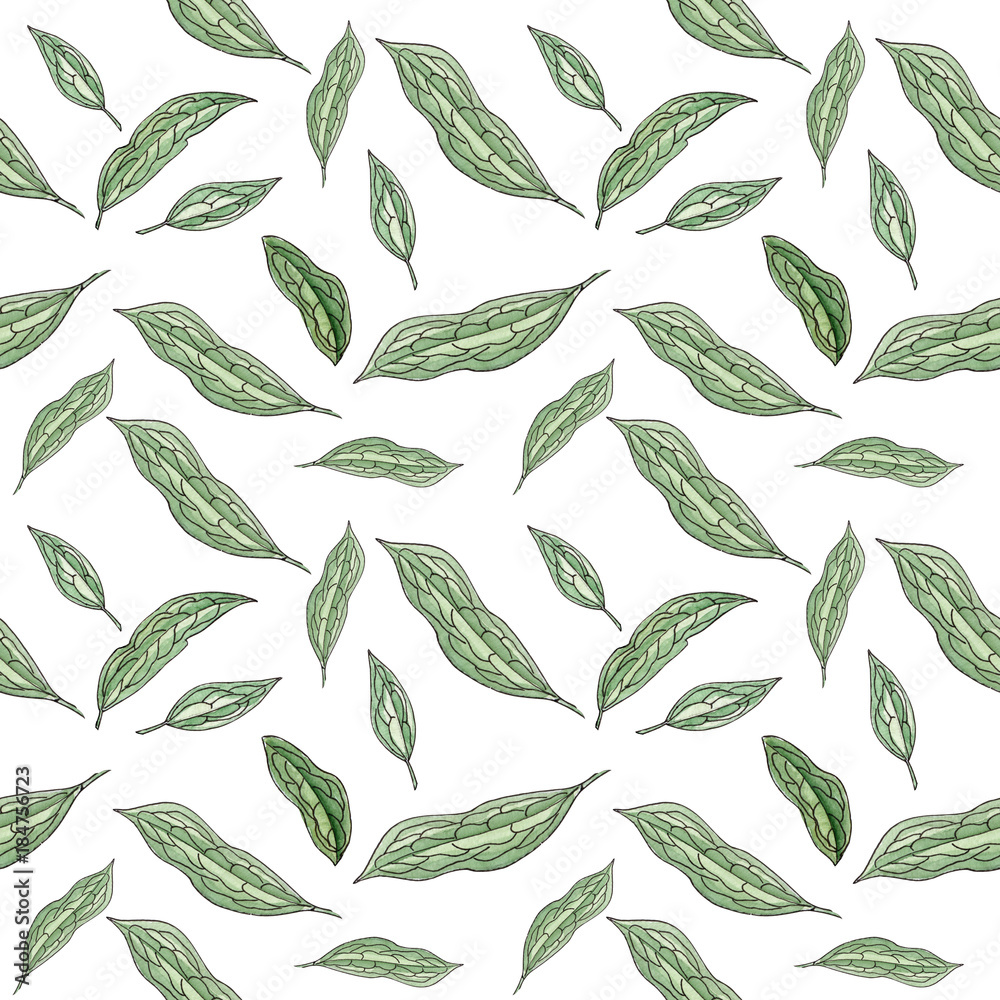 Watercolor peony leaf seamless pattern Watercolor peony leaf seamless pattern