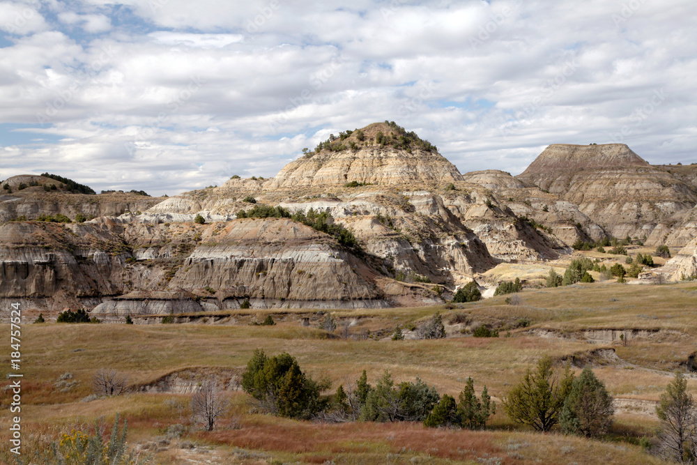 Εκτύπωση καμβά Theodore Roosevelt National Park, North Dakota