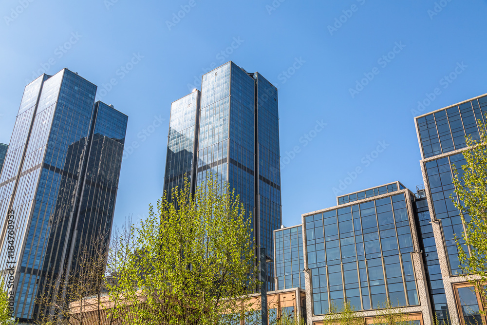 modern office building with green leaves.